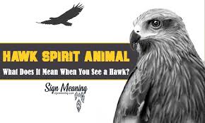 Hawk Spirit Animal What Does It Mean When You See A Hawk Spirit Animal Hawk Spirit Animal Animal Symbolism