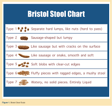 Bristol stool chart pdf marta innovations2019 org. Improving Communication About Constipation In A Long Term Care Setting By Using The Bristol Stool Scale Population Health Learning Network