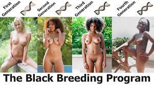 Black breeding asian. Porn hot gallery Free. Comments: 2