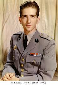 Солдаты небольших армий до WWII. Королевская Югославская армия История,Вторая Мировая война,Армия,Униформа