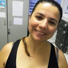 Jose F. Gaviria N. (@josegaviria25)