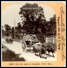 Kvc View No 10257 On The Road To Guayama Porto Rico Close Up Puerto Rico History Puerto Rican Culture Puerto Rico