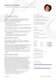 Sales executive resume examples & samples responsible for providing the overall direction and leadership to a sales team within an assigned the latest ones are on dec 31, 2020 8 new resume example for sales executive results have been found in the last 90 days, which means that every. 16 Best Sales Resume Examples Ideas Sales Resume Examples Sales Resume Resume Examples