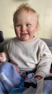 Blind Low Vision NZ Guide Dogs