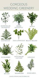 Greenery Inspiration And Ideas For Arrangements Or Bouquets Eroseco Botanicals Ferns F Greenery Wedding Greenery Wedding Centerpieces Flower Bouquet Wedding