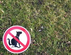Hunde verbot schild pinkelnder hund kunststoff witterungsb. Hundekot Ein Schild Fur Das Verbot Selber Machen
