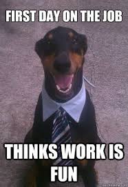 The meme typically consists of a picture of a shiba inu dog accompanied by multicolored. Funny Dog Job Meme Coole Spruche Lustig