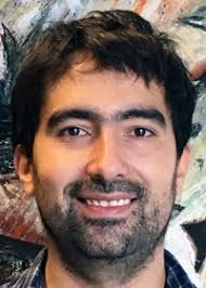 Constructivist Foundations Author Felipe León