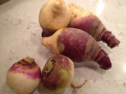 Foraging doesn't require any special equipment and is an economical way to add the most nutrient dense fruits and vegetables on the planet to your diet. And Now Root Vegetables The Rutabaga Vs The Turnip Darkcreekfarmdotcom