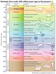 Evolution Geology Earth Science Lessons History Of Earth