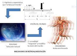 The audiovisual installation autopoiesis act is the product of a convergence of 3 artistic paths: Autopoiesis La Maquina De Von Neumann