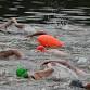 Luray SwimFest