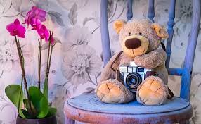 The most beautiful collection of teddy bear day 2019 quotes, teddy bear day 2019 sayings and teddy bear day 2019 images for this year. Teddy Day 2021 Quotes Wishes Greetings Messages And Images For Teddy Bear Day