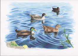Rendering with copic markers is pretty similar to rendering with watercolors. Mixed Media Watercolor And Copic Markers Copic Markers Copic Art Copic
