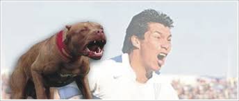 Dabei hat er auch eine sanfte seite: La Pelota No Dobla Gary Medel El Pitbull En Sevilla