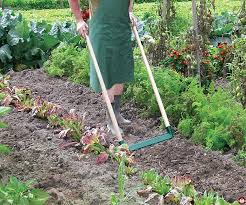 Fiskars Leborgne Biogrif Ww Zone Outillage Fr Avec Images Jardinage Outillage