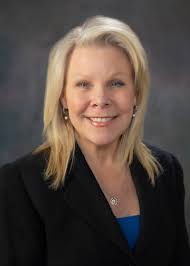 Property Advisers Realty