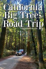 Enjoy big discounts on modern & stylish hotels worldwide. Big Trees In California Road Trip Video Tammilee Tips
