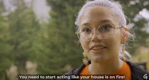 Testimonials from wildfire-affected communities around Lytton