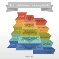 Exercise Guidelines Exercise Intensity Fitness In