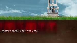 Company built on quality customer service and personal relationships. Termites Absolute Pest Control