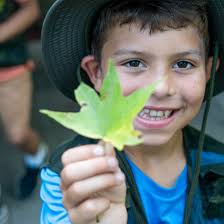Take advantage of this perfect weather! Discover something new like Don  Carter State Park, the only state park