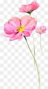 Flower Lotus Pink Flower Flower Vector Lotus Vector Flower Clipart Png Transparent Clipart Image And Psd File For Free Download Flower Clipart Png Flower Art Painting Flower Clipart