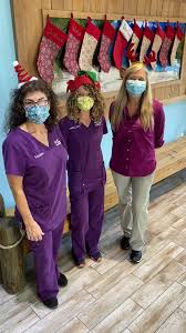 299 w cocoa beach causeway, cocoa beach, fl 32931, usa. Island Animal Hospital On Cocoa Beach Home Facebook