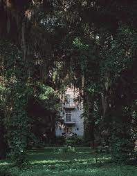 Enchanted Fairytale Dreams Dark Green Aesthetic Forest Photography Slytherin Aesthetic The dark academia aesthetic adds a gothic twist with a neutral color palette (greys, browns, and blacks), gloomy photos, and existential poetry. dark green aesthetic
