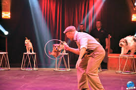 Porté par l'inspiration hallucinante de gilbert gruss, le cirque « made in france» lance son hymne à la féerie : L Etoile En Heritage A Lille Le Nouveau Spectacle Du Cirque Arlette Gruss Zoom Sur Lille