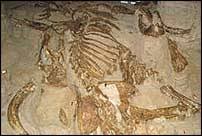 We started the first article by talking about carbon dating and the dead sea scrolls. How Is Carbon Dating Done