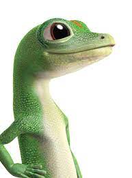 Welcome To Geico Animal Photo Gecko Geico