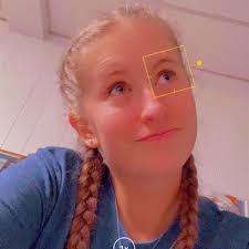 Devious Lies by Parker S. Huntington