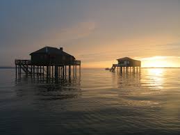 Les Cabanes Tchanquees Bassin D Arcachon Arcachon Bassin