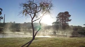 Maybe you would like to learn more about one of these? Inverno Inicia Com Pouco Frio E Muita Chuva Em Jaragua Do Sul Diario Da Jaragua