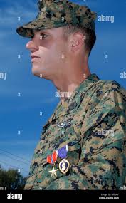 Calif purple heart medal hi-res stock photography and images