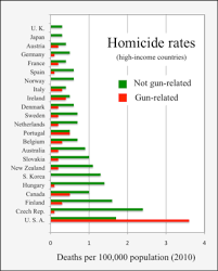 It does not include shootings tied to robberies that went awry, and it does. Gun Violence In The United States Wikipedia