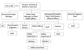 Line And Staff Function Of Safety Rls Human Care