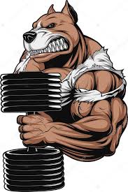Resultado De Imagem Para Desenho De Pitbull Pitbull Desenho Desenhos De Academia Pitbull