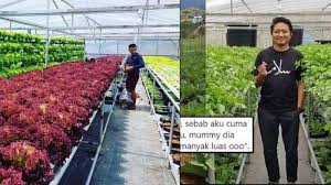 We did not find results for: Viral Kisah Cinta Pria Tak Direstui Karena Petani Kini Kaya Raya Calon Mertua Menyesal Terlambat Tribun Jatim