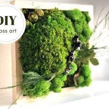 These beautiful reindeer moss panels are built from a 100% real, preserved moss. Diy Moss Wall Art Kit Moss Art Frame Perfect Gift Gift Box Etsy In 2021 Diy Moss Moss Wall Art Diy Moss Wall Art