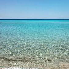 Daily sailing tour in palermo with lunch. Ecco Il Mare Di San Lorenzo Picture Of Lido San Lorenzo Sicily Tripadvisor
