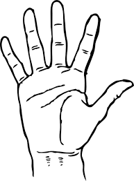 The set includes facts about parachutes, the statue of liberty, and more. Hand Palm Facing Coloring Page Coloring Sky