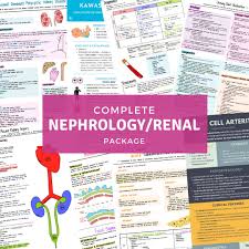 Image result for Nephrology Worksheets