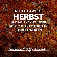 Endlich Ist Wieder Herbst Und Man Kann Wieder Menschen Kastanien An Den Kopf Werfen Fun Witzige Spruche