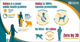 Although the incidence of rabies in humans are rare, they can cause serious health problems. Faqs About Rabies Ministry Of Agriculture Animal Industry And Fisheries