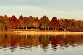 We did not find results for: Secluded Camping Near Pomme De Terre State Park Missouri