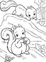 Pin On Squirrel Coloring Pages