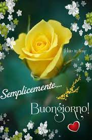 Pin Di Laura Brai Su Buongiorno Buongiorno Buongiorno Bellissimo Buongiorno Saluti