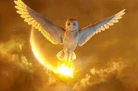 7 servicii, inclusiv netflix și amazon. Filmul Legende Din Regatul BufniÅ£elor 3d Filme Fest Md